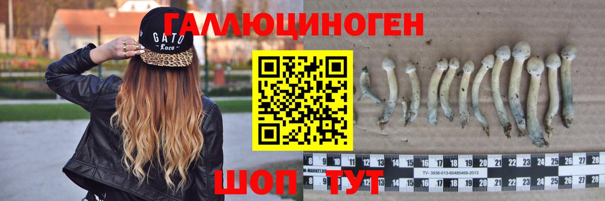 Псилоцибиновые грибы ЛСД Ростов Великий